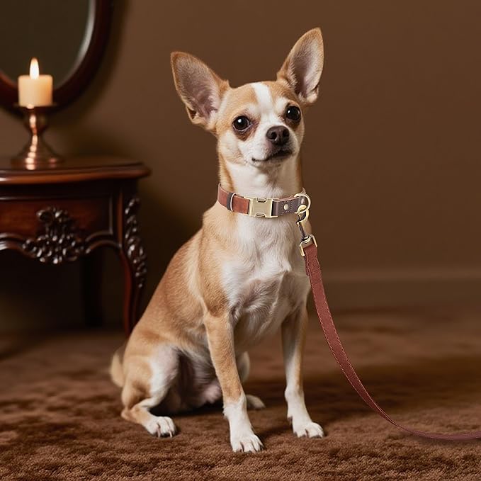 Didog Soft PU Leather Dog Collars for Small Dogs,Classic Adjustable Dog Collars with Quick Release Metal Buckle,Easy Clean and Comfortable with Nylon Lining,Brown,S Neck 10-15"
