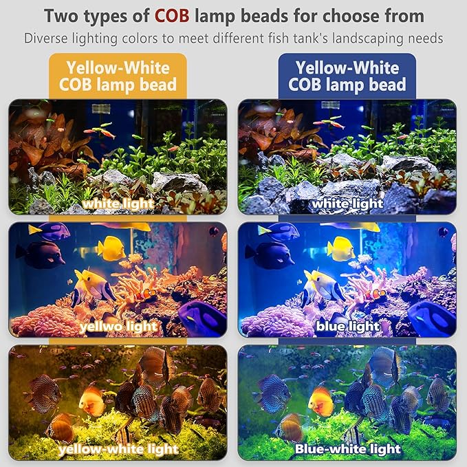Aquarium Light Focus Light for Open Fish Tank Indoor LED Light Big Clip Lamp Adjustable Focus (White-Blue)