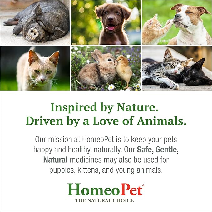 HomeoPet Feline Purr Dental, Safe and Natural Tooth and Dental Care for Cats, Cat Dental Care, 15 Milliliters