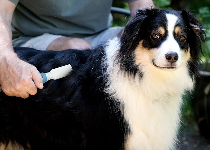 Pets First Professional Pet Mat Remover - Dematting Tool for Grooming Cats & Dogs - Removes Matted Fur, Tangles, Knots, Loose Hair & Dirt - Stainless Steel, Gentle Teeth, Soft Comfort Grip Handle,Blue