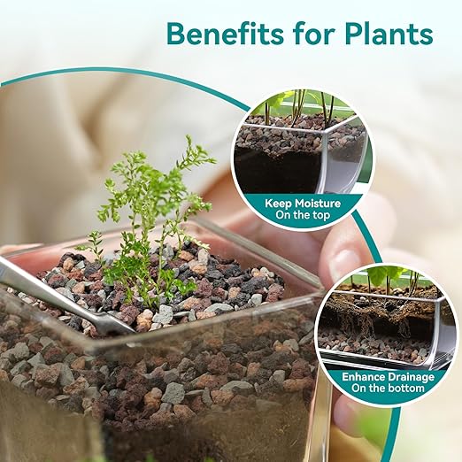 5lbs Terrarium Rocks for Pots Indoor, Succulent, Cactus, Bamboo, Bonsai Tree, 1/5 Inch Rocks for Planters Drainage, Mixed Color Small Lava Rocks for Top-Dressing