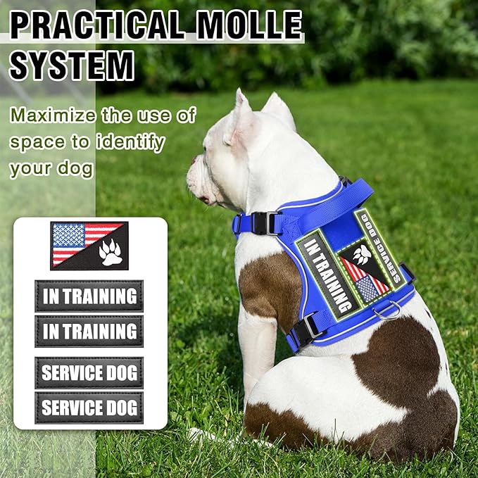 WINSEE Service Dog in Training Harness with 5 PCS Patches, Reflective Tactical Dog Vest Harness, Adjustable Soft Oxford Pet Harness with Easy Control Handle, Hook & Loop Panels for Walking Hiking