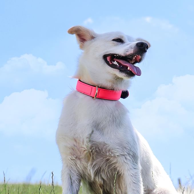 Didog Soft Padded Dog Collars for Medium Dogs, Lightweight and Breathable Pink Dog Collar with Metal Buckle, Pink, L