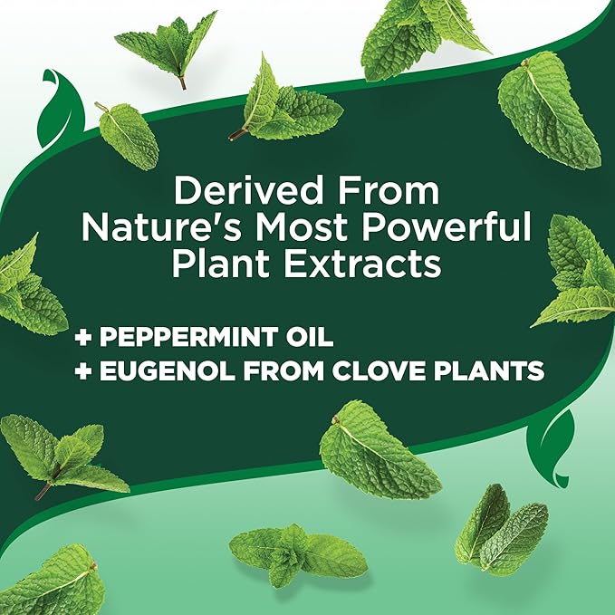 Vet’s Best Flea and Tick Home Spray – Plant-Based Flea and Tick Treatment for Dogs and Indoor Use – Natural Essential Oil Spray for Flea Control in The Home – Made in USA – 96 oz Refill