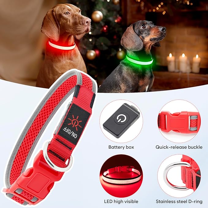 LED Dog Collar, Light Up Dog Collar USB Rechargeable, Brightest Dog Lights for Night Walking, Adjustable Dog Collar Light for Dog Safety (Medium, Ruby Red)