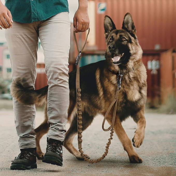 EXCELLENT ELITE SPANKER Bungee Dog Leash Tactical Nylon Adjustable Tactical No Pull Leads Rope for Dogs Quick Release Military Rope with 2 Control Handle (MCP)