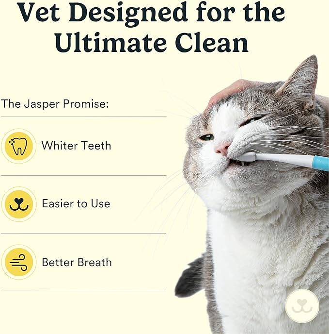 Jasper Microbrush Cat Toothbrush, Soft-Bristled Toothbrush Kit for Felines & Small Dogs, Premium Non-Slip Handle with 2 Replaceable Tooth Brush Heads, Use with Cat Toothpaste