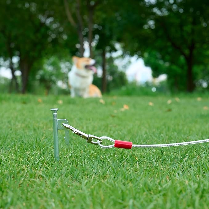 Amazon Basics Tie-Out Cable for Dogs up to 90 lbs, 25 feet, White