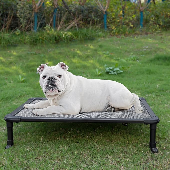 Veehoo Chew Proof Elevated Dog Bed - Cooling Raised Pet Cot - Rustless Aluminum Frame and Durable Textilene Mesh, Unique Designed No-Slip Feet for Indoor or Outdoor Use, Black Silver, Medium