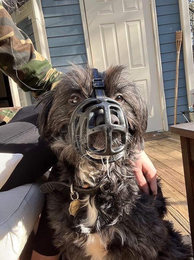 Mayerzon Dog Muzzle, Breathable Basket Muzzles for Small, Medium, Large and X-Large Aggressive Dogs Beagle German Shepherd Doberman, Cage Mouth Guard Stop Biting Chewing for Grooming Training