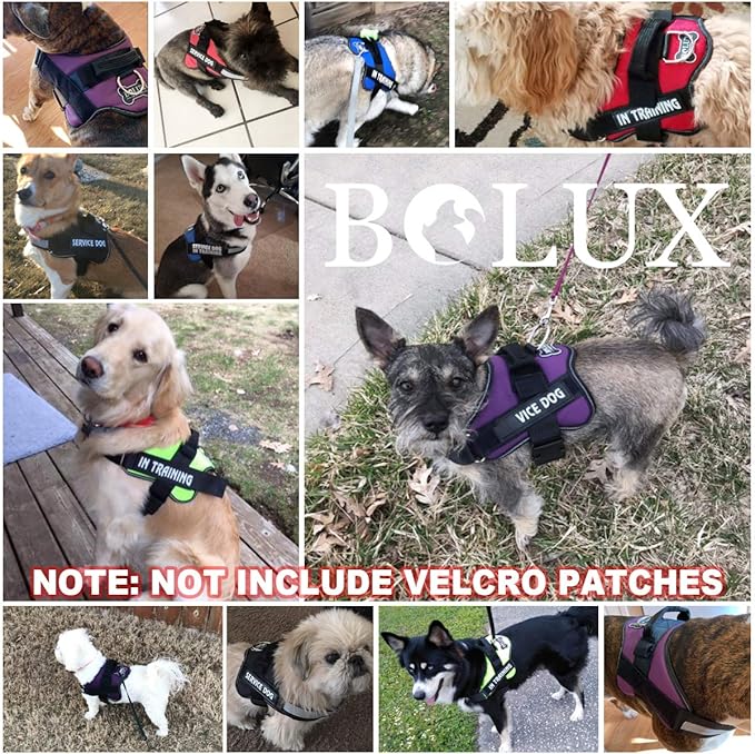 Bolux Dog Harness, No-Pull Reflective Dog Vest, Breathable Adjustable Pet Harness with Handle for Outdoor Walking - No More Pulling, Tugging or Choking (Green, XS)