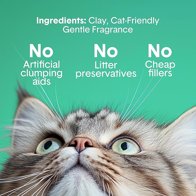 Boxiecat Gently Scented Premium Clumping Clay Cat Litter, 40-Pounds