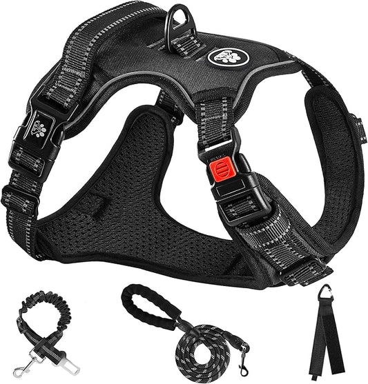 NESTROAD No Pull Dog Harness,Adjustable Oxford Dog Vest Harness with Leash,Reflective No-Choke Pet Harness with Easy Control Soft Handle for Small Dogs(Small,Black)