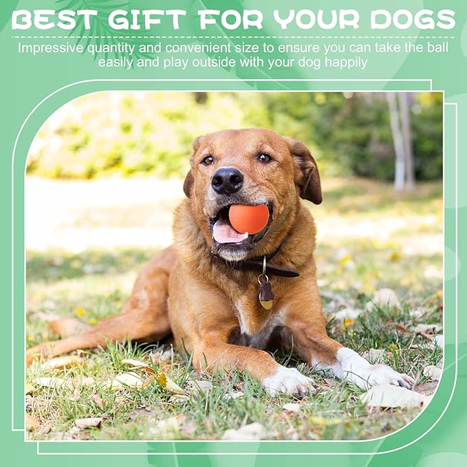 Shappy 12 Pieces Rubber Dog Tennis Balls for Dog Colorful Catching Pet Balls for Fetch Training 2.4 Inch Interactive Bounce and Floatable Toy for Park Beach