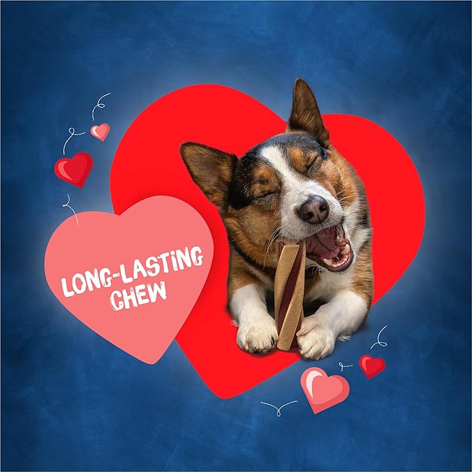 Purina Busy With Beggin' Made in USA Facilities Small/Medium Breed Dog Treats, Twist'd - (Pack of 2) 6 ct. Pouches