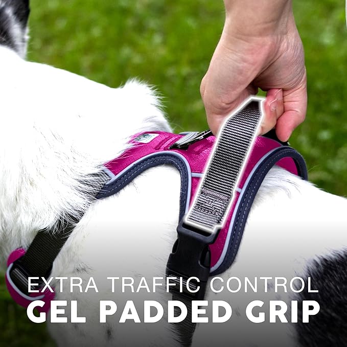 Embark Adventure Dog Harness, No-Pull Reflective Trim Dog Harness for Small, Medium & Large Dogs - Military Grade Nylon, 2 Leash Clips & Gel Lined Handle. Soft & Padded Puppy Dog Vest for Any Breed