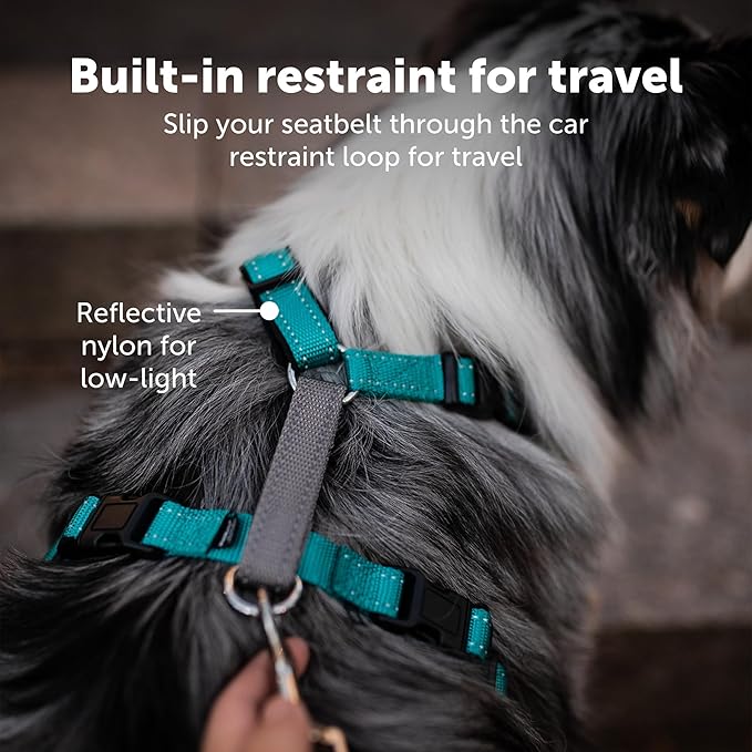 PetSafe 3 in 1 Dog Harness - No Pull Solution for Dogs - Reflective Dog Harness - Front D-Ring Clip Helps Stop Pulling - Comfortable Padded Straps - Top Handle Enhances Control - Plum - Large