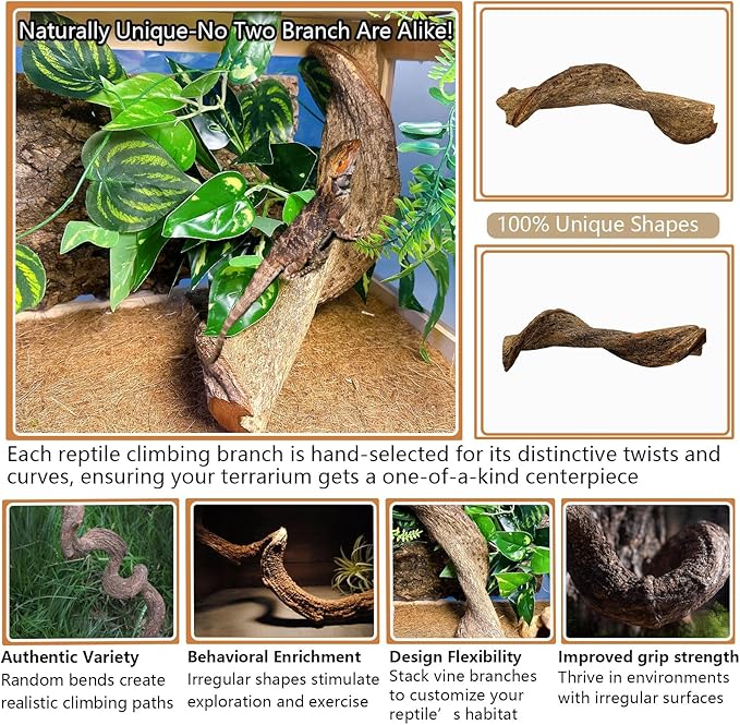 BNOSDM Reptile Climbing Branches Decor,Snake Climbing Branch,Gecko Climb Wood,Lizard Forest Branch,Tank Habitat Tree Trunk Decorations for Bearded Dragons,Chameleons,Spider,Frogs (XL)