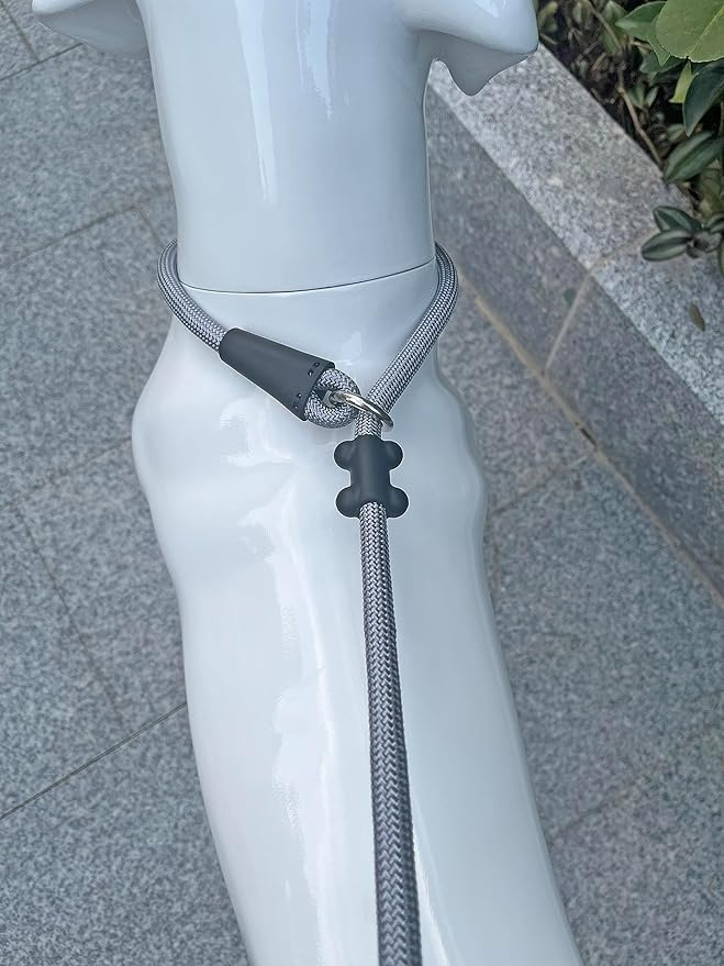 Slip Lead Dog Leash，Strong Nylon Rope Leash and Padded Handle,No Pull Outdoor Walking Training Lead for Small Medium Large Dogs (Grey,1/2"×4ft)