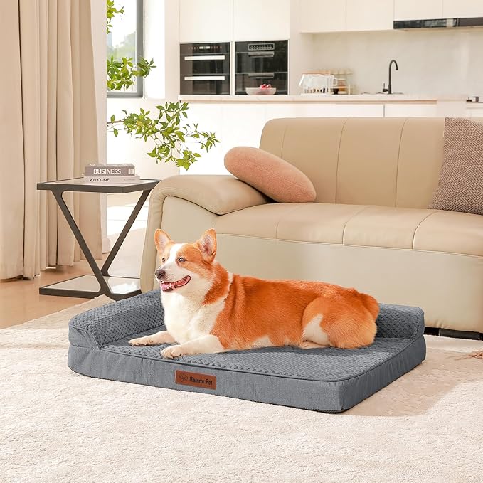 Orthopedic Dog Beds Large Sized Dog, 3 Inch Memory Foam Pet Bed for Medium and Large Dogs, Washable Removable Cover, Nonskid Bottom, Waterproof, 36x27 Inches L Dark Grey
