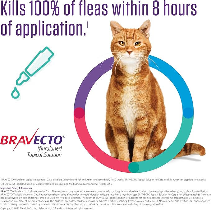 BRAVECTO Topical Solution for Cats, Flea & Tick, 12 Week Supply, 2.6-6.2 lbs., Green Box