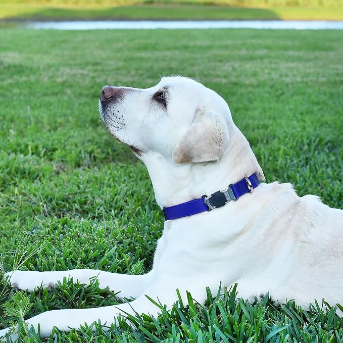 Dogline Biothane Waterproof Dog Collar with Herm Sprenger Black Stainless Steel Quick Release Buckle – Heavy Duty Tactical Durable Collar for Dogs – Comfortable and Safe Pet Collar, W 1" L 15-25"