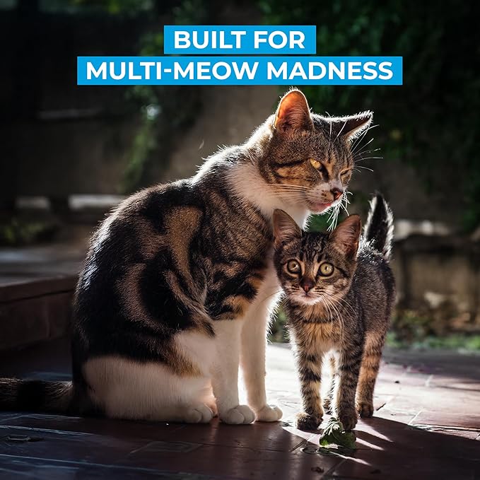 Cat Litter Deodorizer – Pet Safe Odor Eliminator & Housebreaking Supplies for Cats, Kittens, & Small Pets – Natural, Unscented, Non Toxic, Low Dust, 1 lb, by HugsandTails