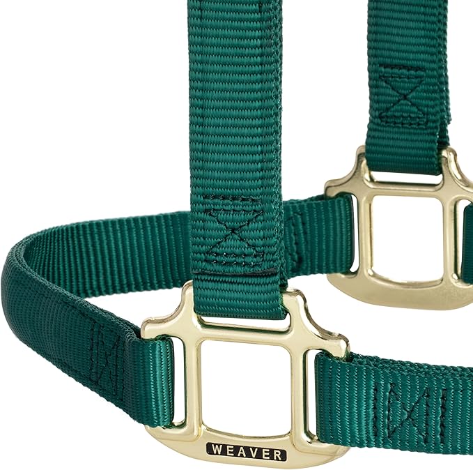 Weaver Equine Nylon Horse Halter, Triple-Ply Cheek Design, Original Non Adjustable Halters for Horses, Equine Tack,Average Size, Black