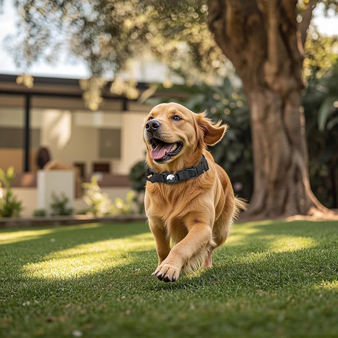 Tactical AirTag Dog Collar Leash Set - Heavy Duty, Adjustable GPS Collar Compatible with Apple AirTag, with Holder & Control Handle for Medium/Large Dogs [ Black, M ]