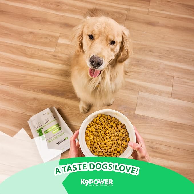 K9 Power Joint Strong Supplement 1 lb - Dog Joint Health & Mobility Support with Glucosamine, Curcumin, Chondroitin, Hip & Joint Pain Relief - Pack of 2