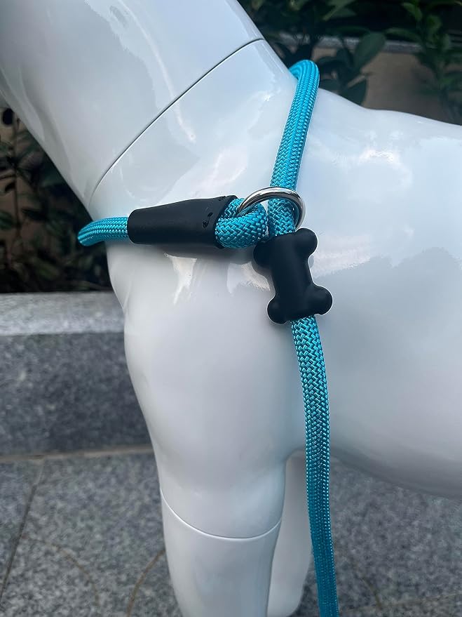 Slip Lead Dog Leash，Strong Nylon Rope Leash and Padded Handle,No Pull Outdoor Walking Training Lead for Small Medium Large Dogs(Blue, 1/2"×6ft)