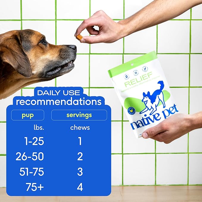 Native Pet Pain Relief for Dogs - Collagen for Dogs Promotes Joint Health, Reduce Inflammation & Stiffness - Senior Pup Joint Supplement - Natural Pain Reliever for Active & Aging Pets - 120 Chews