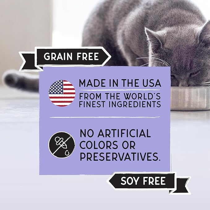 Blackwood Bounty Dry Cat Food, Cod & Carp Recipe for All Life Stages, 4.5 Pound Bag, High Protein, Grain Free