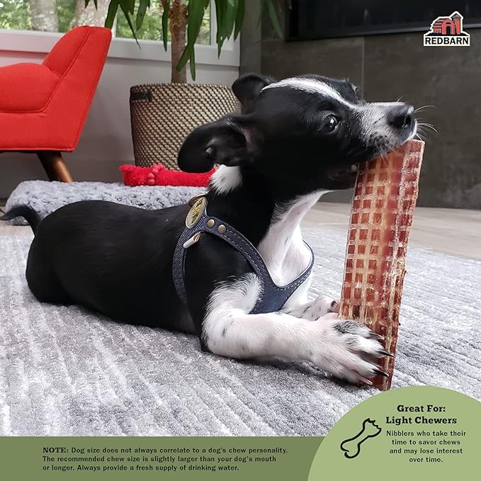 Redbarn Pet Products Barky Bark 100% Beef Jerky Medium 6-Count, Pack of 12