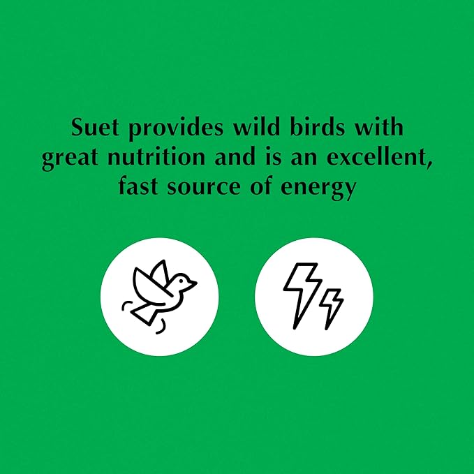 C&S Oriole Delight No Melt Suet Dough 11.75 Ounces 8 Pack