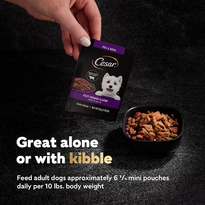 Cesar Filets in Gravy Wet Dog Food Filet Mignon Flavor and Rotisserie Chicken Flavor Variety Pack, 1.76 oz. Mini-Pouches (20 Count, Pack of 2)