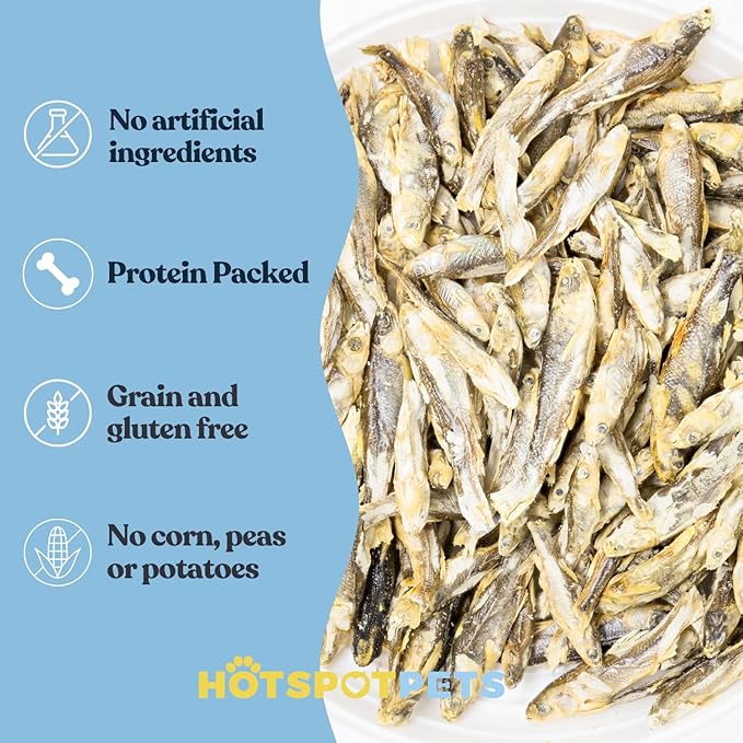 hotspot pets Freeze Dried Minnows Treats for Cats & Dogs (1 Pound Bag Over 1800 PCS!) (Made in USA) All Natural, High Protein, Rich in Omega-3s, Grain-Free,Perfect for Training, Topper or Snack
