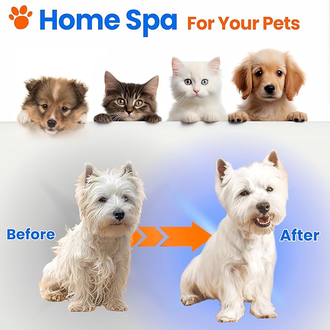 Pet Steam Brush For Cat & Dog - Pets Spray Hair Removal Comb - Cats Indoor Shedding & Grooming Mist Tool - Water Steamer Brushes for Long & Short Haired Dogs - Spritz Defur Comb (Orange)