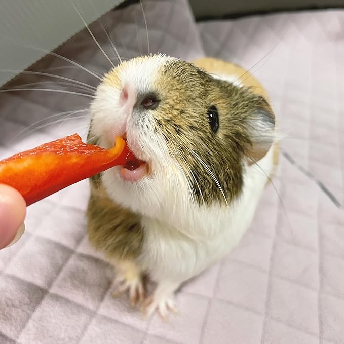 GuineaDad Premium Liner – Fleece Guinea Pig Cage Liner – Ultra-Plush Reusable Fleece Bedding with Waterproof Bottom – Extra Absorbent Liner for 2x3 C&C Cage (Peach Pie)