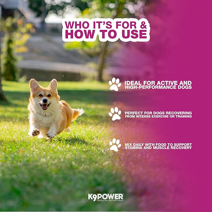 K9 Power Super Fuel for Dogs 1lb - Boosts Energy Levels - Supports Muscle Growth & Enhances Joint Health - Pack of 2