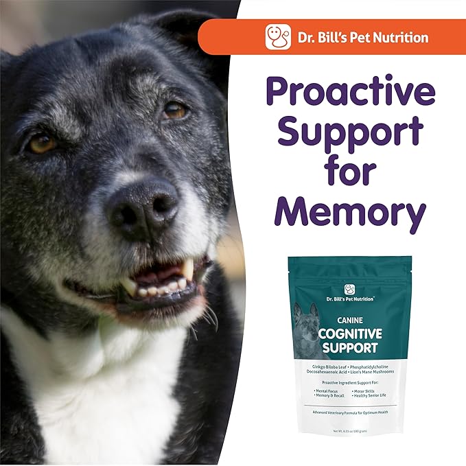 Dr. Bill’s Canine Cognitive Support | Memory Support Supplement Multivitamin for Dogs | Contains Gingko Biloba, L-Carnosine, Vitamin B-12, L-Glutamine, L-Tyrosine, and DHA for Adult and Senior Dog