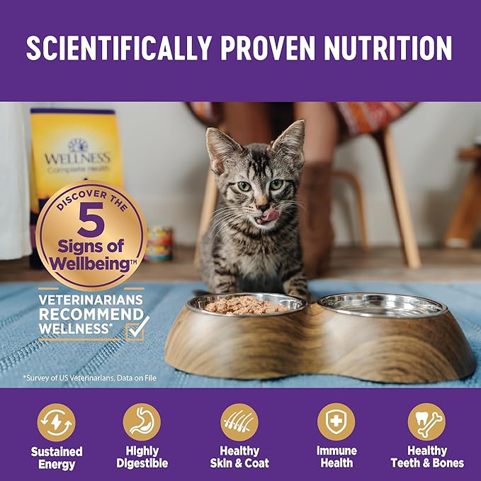 Wellness Complete Health Pate Adult Wet Cat Food, Natural, Protein-Rich, Grain Free, 3 Ounce, 24 Pack, (Beef & Salmon)