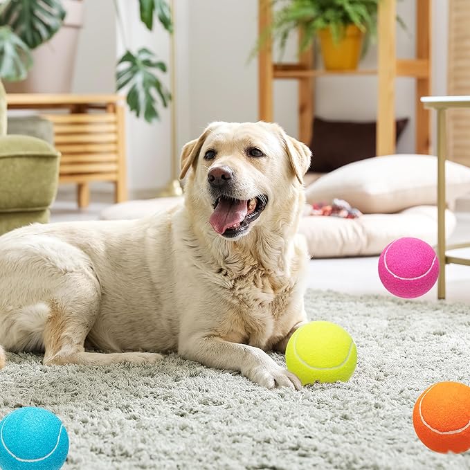 Large Dog Tennis Balls 4-Pack, 4 inch Interactive Big Dog Toy Ball for Small Medium Large Dogs, Dog Toys for Outdoor/Indoor Sports, Fetch, Training & Play