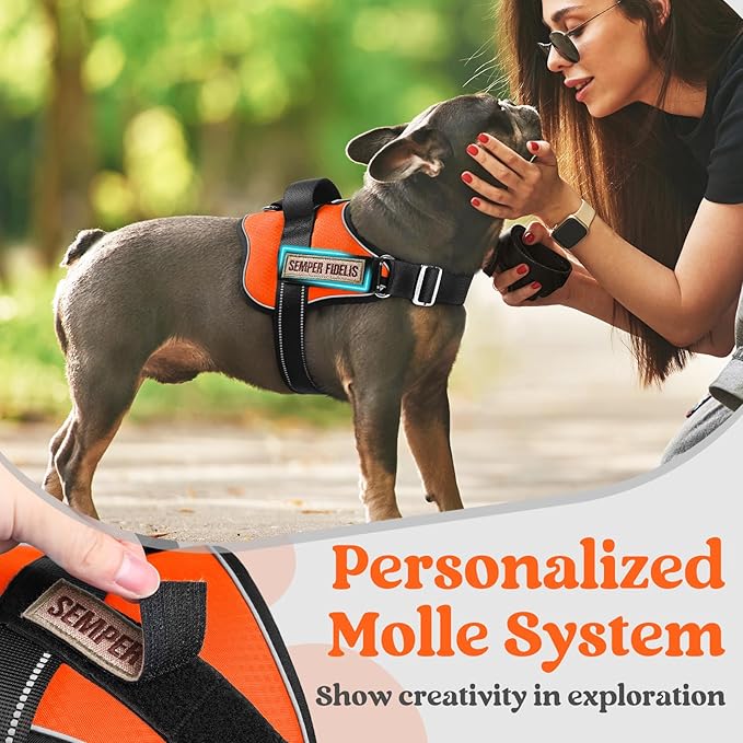 rabbitgoo Dog Harness for Large, Easy On Pet Vest with One Buckle, No Pull Adjustable Service Harness with D-Ring & Handle, Reflective for Safety Walking, Training, Orange, XL