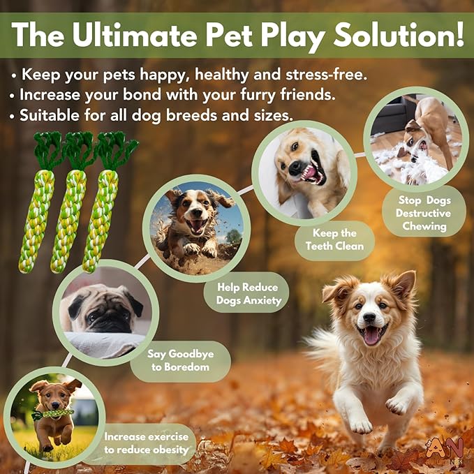 3PCS Rainbow Woven Pet Chew Set, Colorful Puppy Teething Chews, Dog Chew Toys, Cat Teething Playset, Soft & Safe Interactive Pet Chews