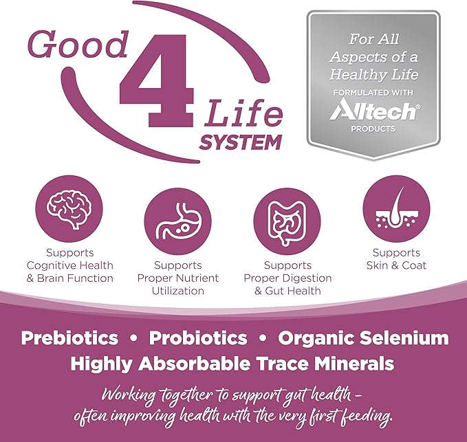 NutriSource Element Series Wild Range Dry Dog Food, Chicken, Pork & Bison, 4LB