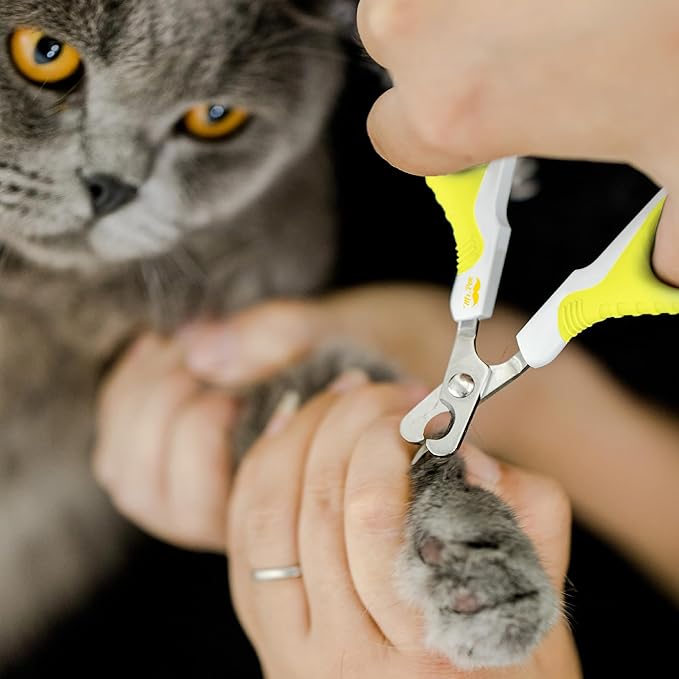 Mr. Pen- Cat Nail Clipper, Lime Green, Cat Nail Trimmer, Cat Nail Clippers, Cat Claw Clippers, Cat Clippers for Nails, Pet Nail Clippers, Kitten Nail Clipper, Small Dog Nail Clipper Cat Claw Trimmer