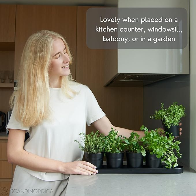 SCANDINORDICA Black Herb Planter – 5 Pots with Drainage Holes and Tray, Windowsill Planter, Herb Pots for Indoor Outdoor Plants | Kitchen & Garden Decor