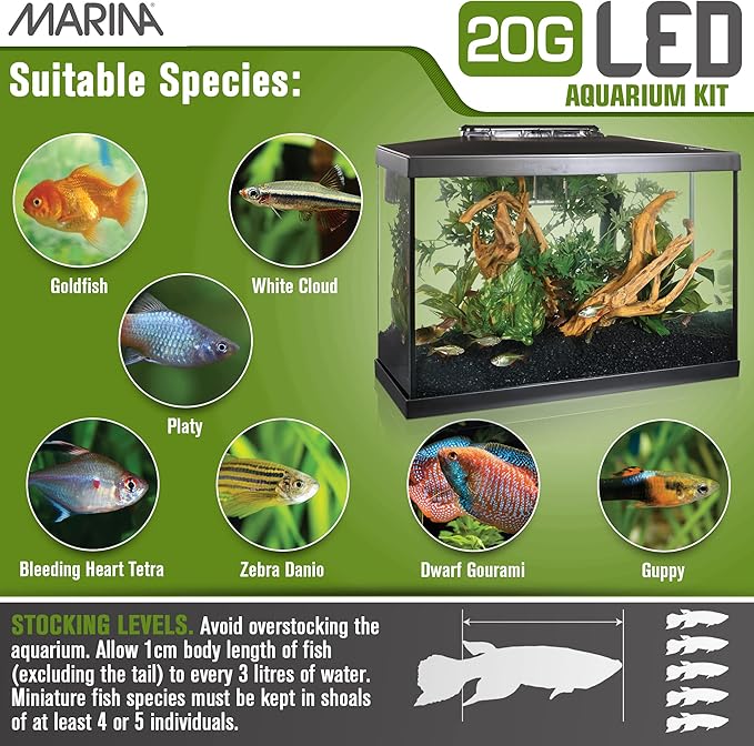 Marina Aquarium Kit - 20 gallon Fish Tank - LED