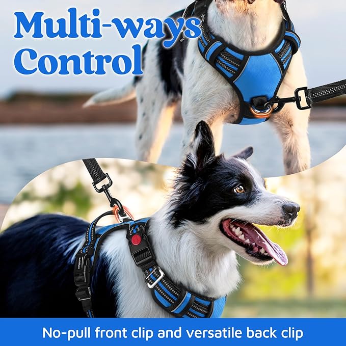 rabbitgoo Dog Harness Small Sized, No Pull Dog Vest with 3 Buckles, Adjustable Soft Padded Pet Harness with Easy Control Handle and Reflective Strips, Blue, S